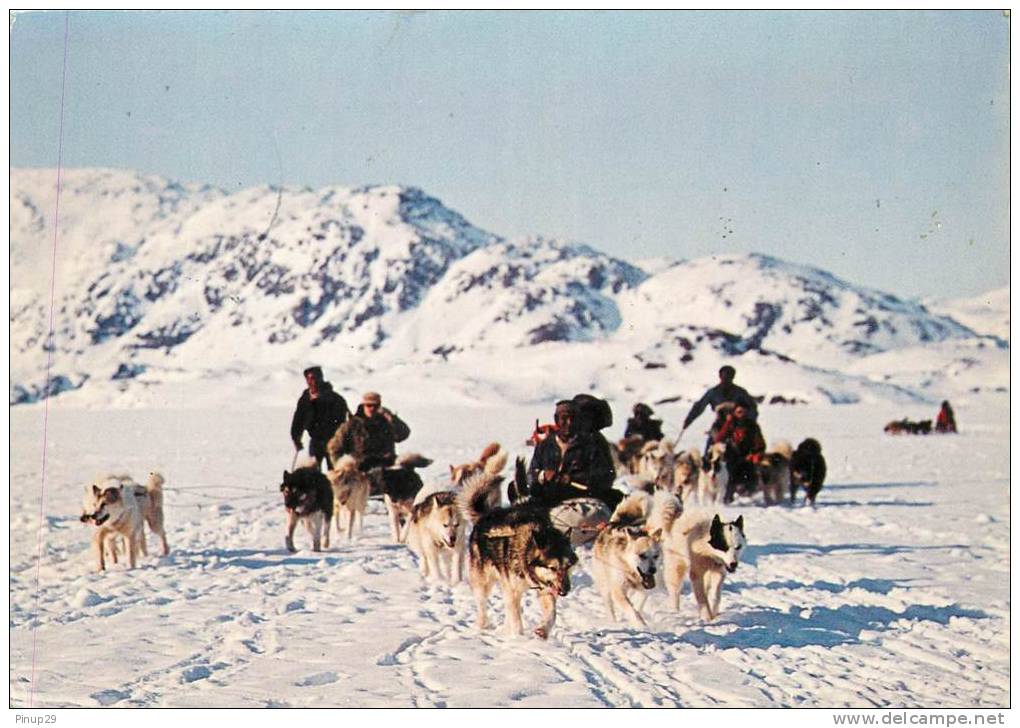 GROENLAND      TRAINEAU A CHIENS      CACHET TIMBRE - Groenlandia