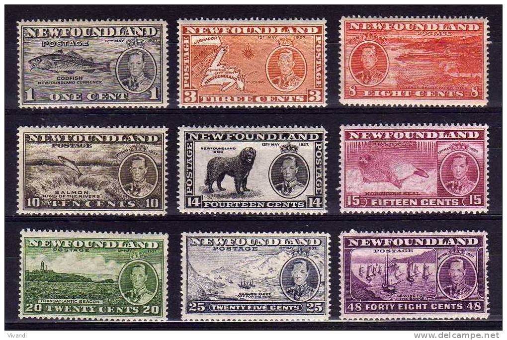 Newfoundland - 1937 - Coronation (Part Set, Perf 13&frac12;) - MH - 1908-1947