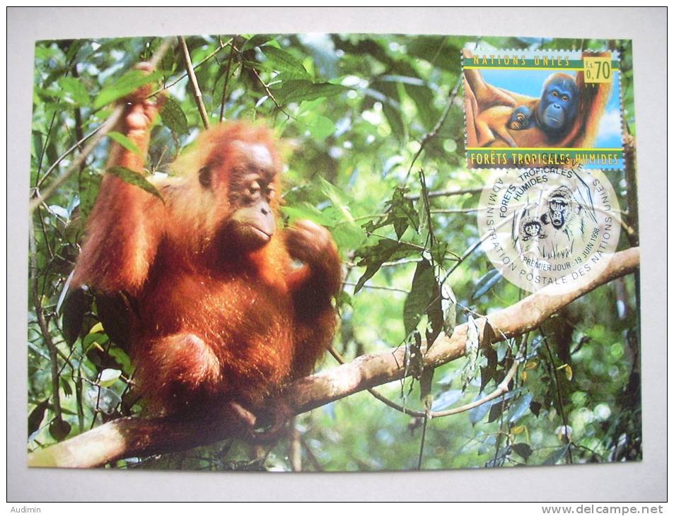 UNO-Genf 346 Maximumkarte MK/MC No. 57, Orang-Utan, 50 J. Weltgesundheitsorganisation WHO, Orang Utan - Cartes-maximum