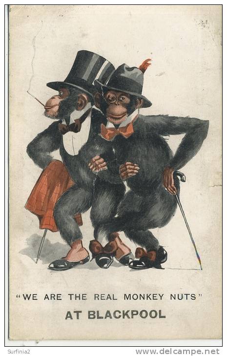 BLACKPOOL COMIC 1914 - WE ARE THE REAL MONKEY NUTS - Blackpool