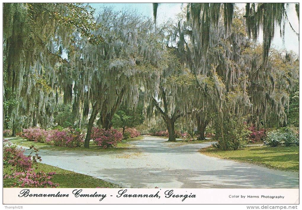 Bonaventure Cemetary - SAVANNAH - GEORGIA - Beautiful And Historic Cemetery, Once The Home Of The Tattnal Is. - 2 Scans - Savannah