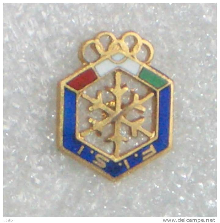 FISI - Italian Winter Sports Federation Pin * Italy Badge Italia Distintivo Skiing Ski Esqui Skilauf Ski Alpin Sci Sport - Invierno