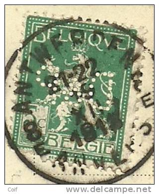 110 Op Postkaart Met Firma-perforatie (Perfin/perfore) " D&P" Van De Leeuw & Philippsen Anvers - 1909-34