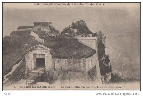 .SALINS LES BAINS (.le Fort Belin Vu Des Rochers De Cornaboeuf ) - Autres & Non Classés