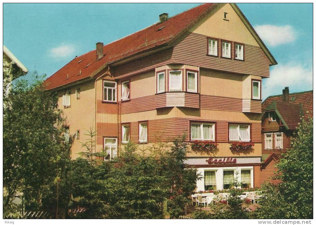 Braunlage Haus Cecille  A-1316 - Braunlage