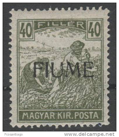 ITALIA 1919 (FIUME) - Yvert #13 - MLH * - Fiume & Kupa