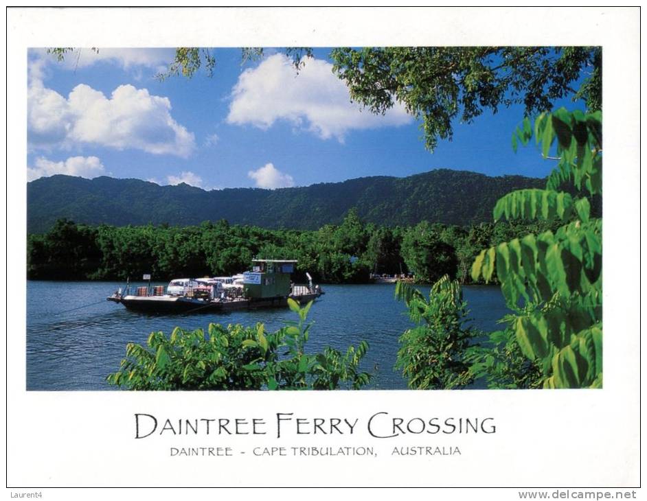(456) Australia - QLD - Daintree Ferry Crossing - Far North Queensland