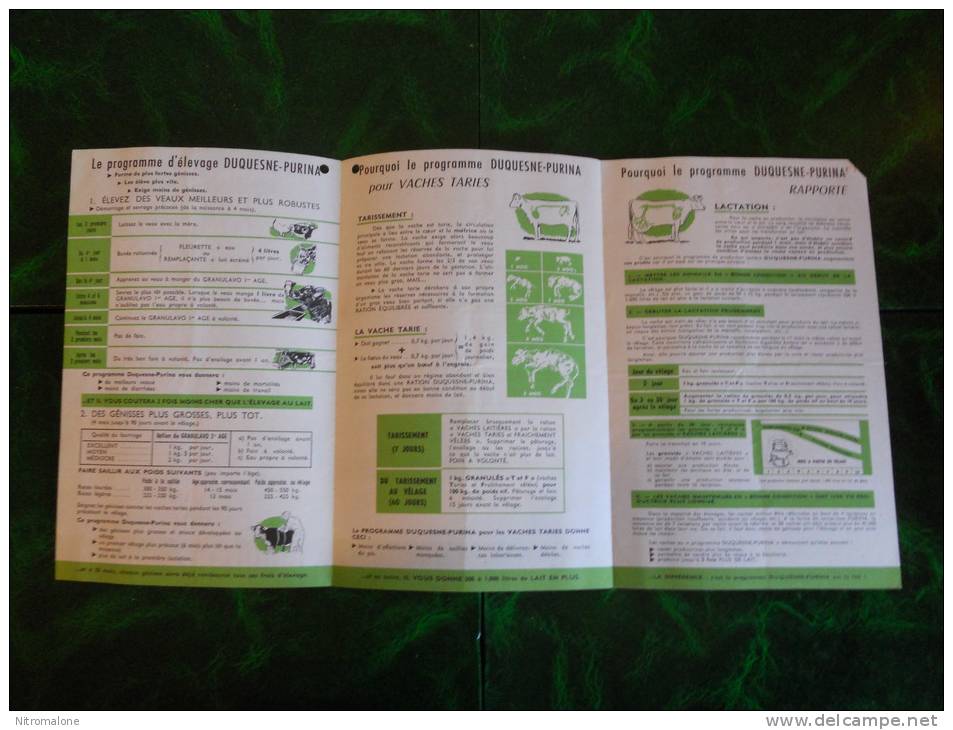 BROCHURE - Programme D'alimentation Pour La Production Du Lait - DUQUESNE-PURINA - Zonder Classificatie