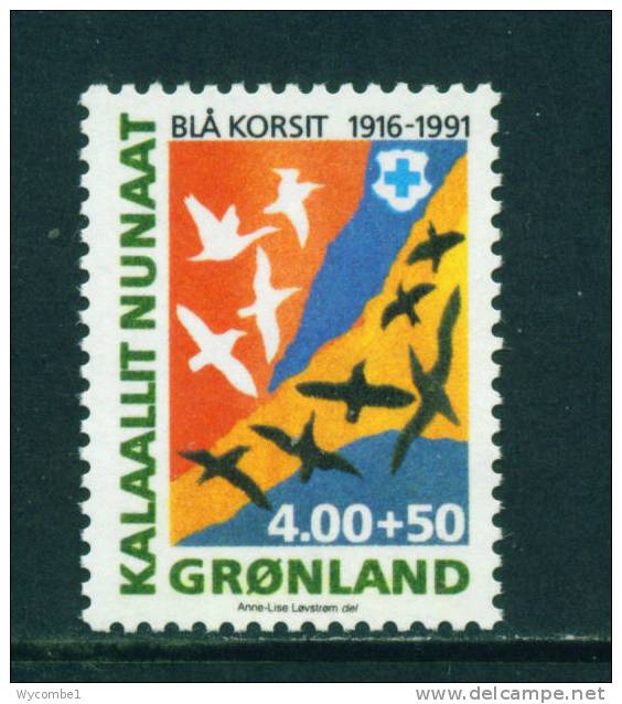 GREENLAND - 1991 Red Cross 4k+50o Unmounted Mint - Nuevos