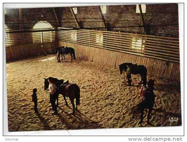 Arnac Pompadour Domaine De La Noaille Club Méditerranée : Manège Cheval équitation Haras N°22 - Reitsport