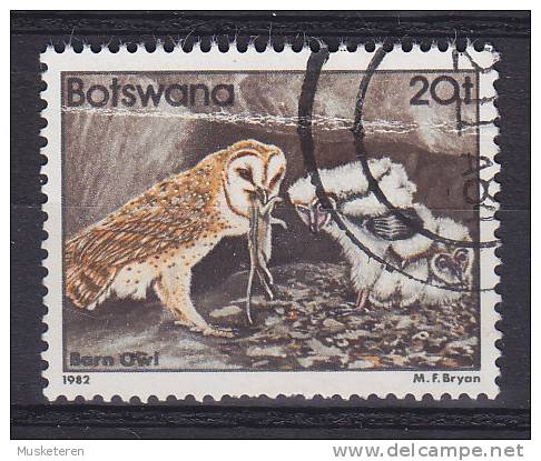 Botswana 1982 Mi. 309     20 T Bird Vogel Oiseau Schleieule Owl Uhle Eule - Botswana (1966-...)
