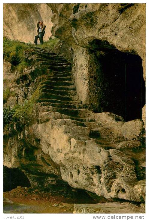 CPSM Vallée De La Vézère Au Pas Du Miroir-La Roque Saint Christophe-Peyzac Le Moustier   L1241 - Autres & Non Classés