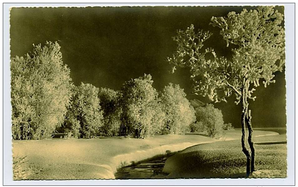 Cartolina Del Fotografo Albert Steiner_ Serie Dolomiti Nr. 1379_ Non Viaggiata - Altri & Non Classificati