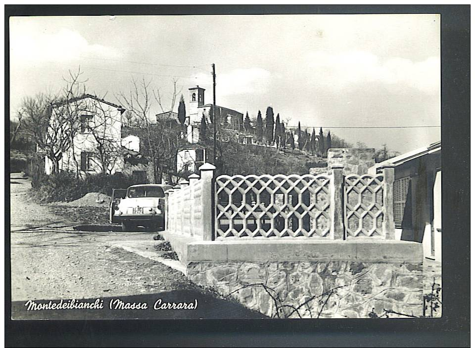 MONTEDEIBIANCHI ( Massa Carrara)  Cartolina  Viaggiata 1964 - Massa