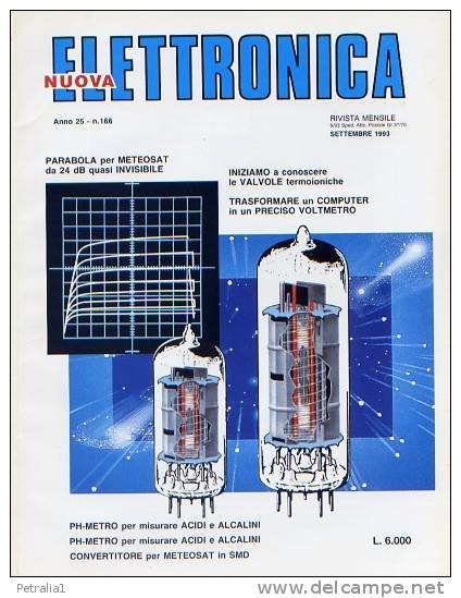 NE 22 Rivista Di Nuova Elettronica N° 166 - Textos Científicos