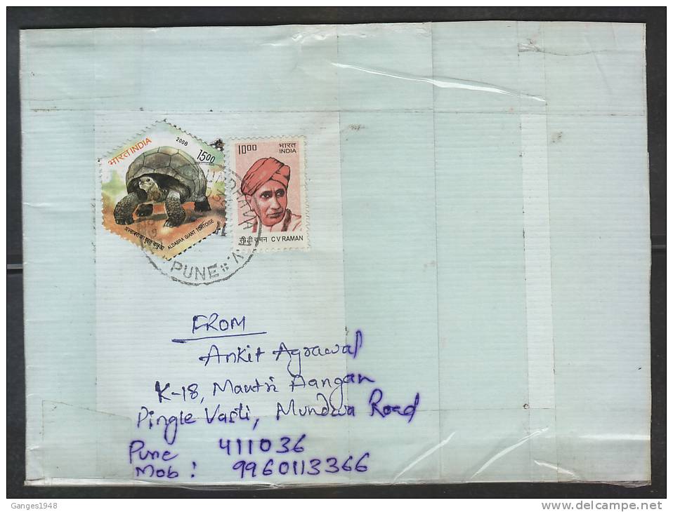 India  Turtle Stamp On Cover. # 45502 - Tortues