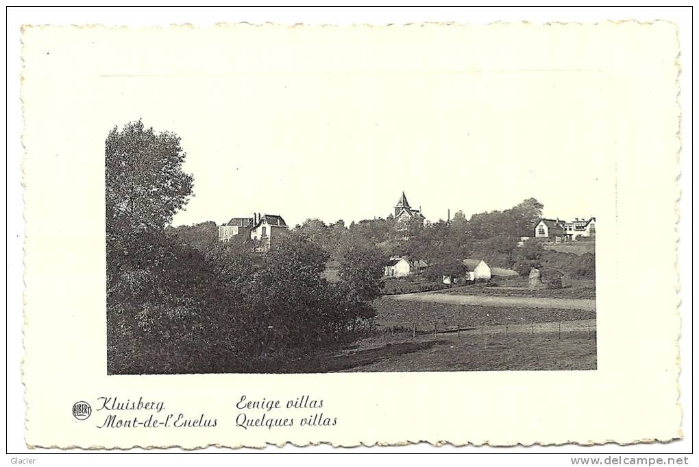 Lot 5 Cartes - MONT-DE-L'ENCLUS - KLUISBERGEN - Holleweg - Château - Villas - Vue De La Tour - Promenade Au Bois - Mont-de-l'Enclus