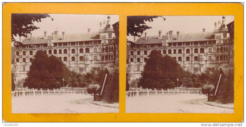 PHOTO STEREO 19 EME SIECLE - BLOIS - LE CHATEAU - Stereoscopic