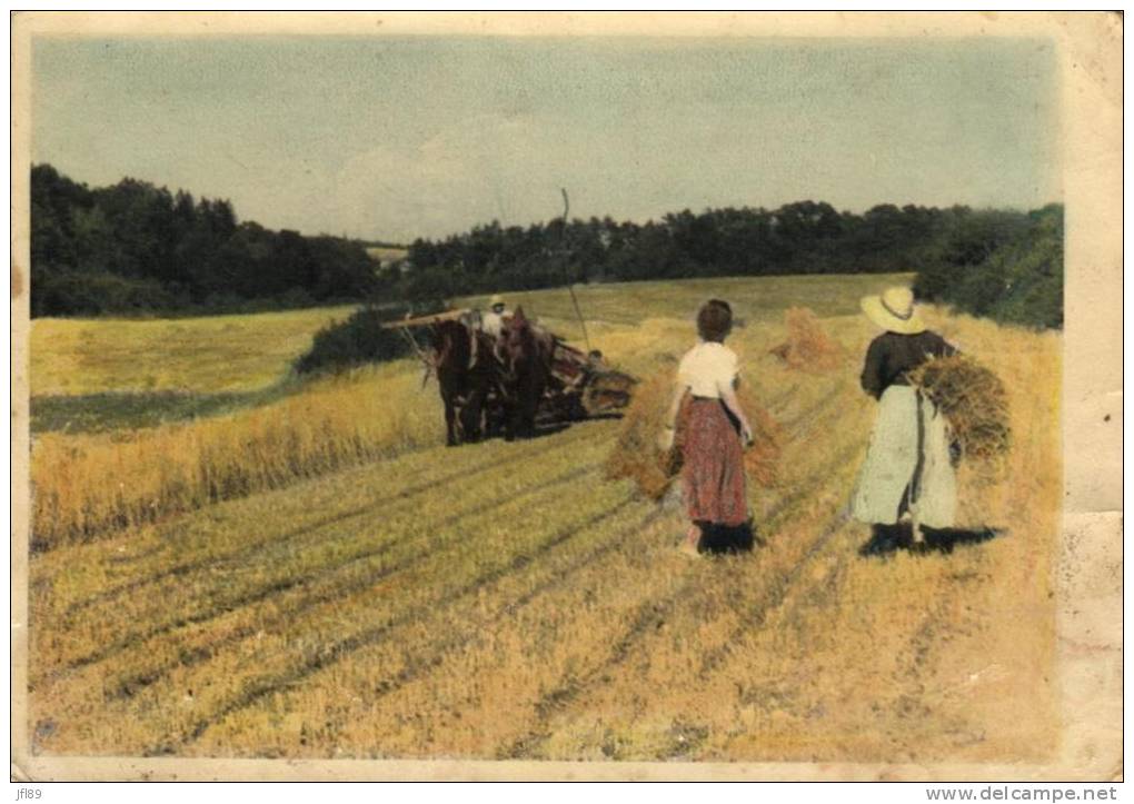 65378 - Agriculture     Travail Dans Les Champs - Wagengespanne