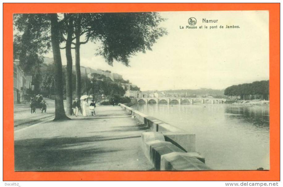 Belgique - Namur   "  La Meuse Et Le Pont Des Jambes  " - Andenne