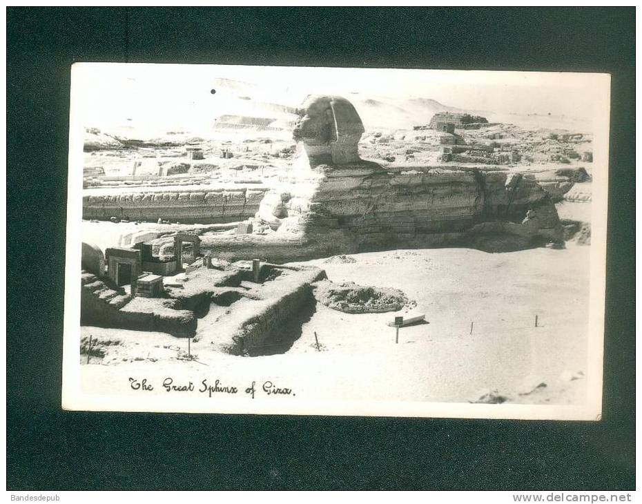 Egypte - The Great Sphinx Of Giza ( Grand Sphinx  Carte Photo Forrania) - Sphynx