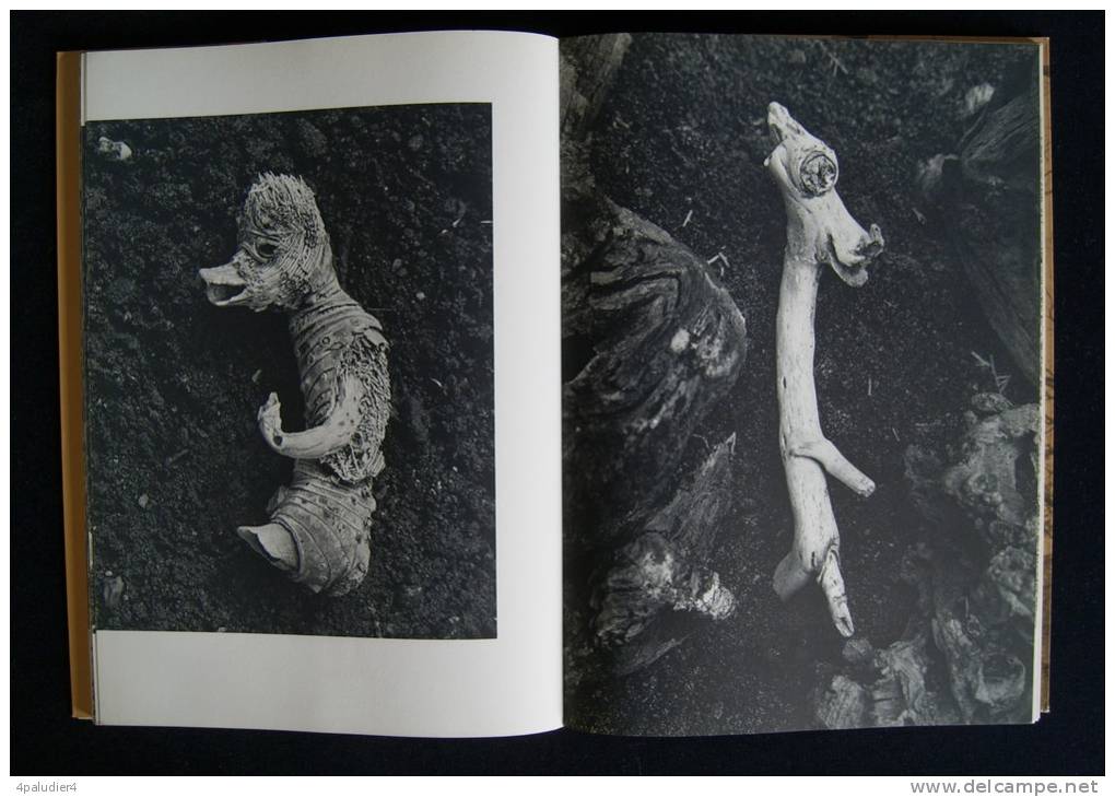 PHOTOGRAPHIE FEERIE DES BOIS Suite Sylvestre Marie MAURON Robert MAGNAN ( Photographies ) Editions Du Mont-Blanc 1966 - Photographie