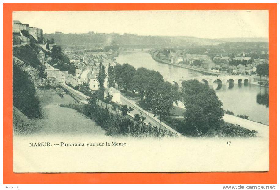 Belgique - Namur   "  Panorama Vue Sur La Meuse  " Carte Precurseur - Andenne