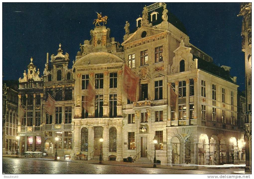 BRUXELLES - GRAND'PLACE - L'ETOILE - LE CYGNE - L'ARBRE D'OR - Brüssel Bei Nacht