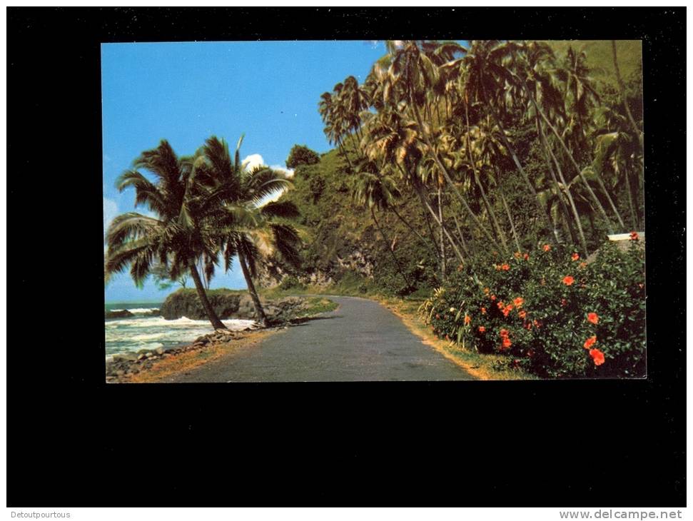 TAHITI  Mahine East Coast Road - Tahiti