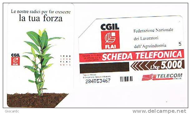 TELECOM ITALIA - C.& C. 2917  - CGIL FLAI    - USATA - Públicas Especiales O Conmemorativas