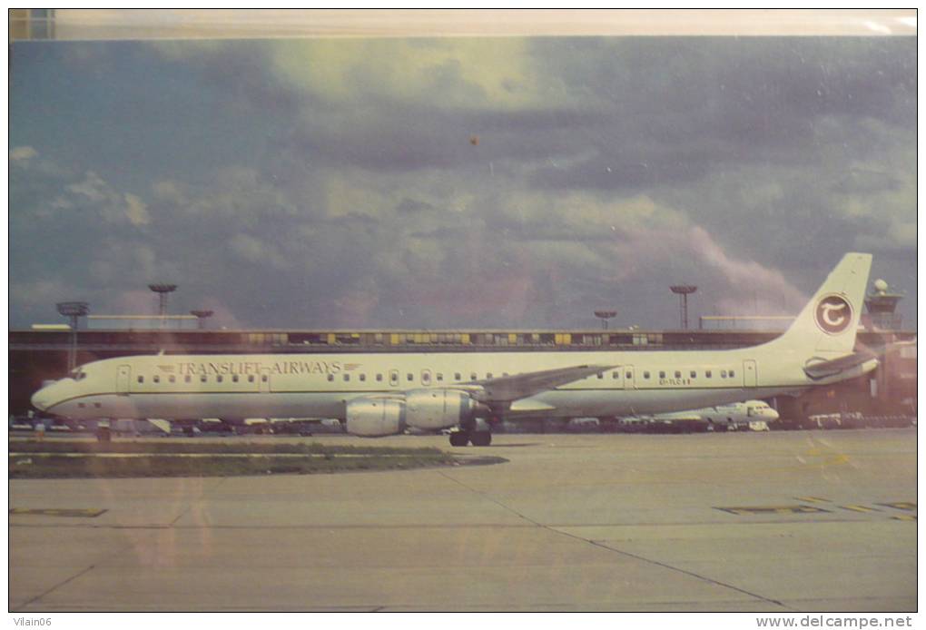 DC 8 71   TRANSLIFT AIRWAYS    EI TLC   ORLY AIRPORT - 1946-....: Moderne