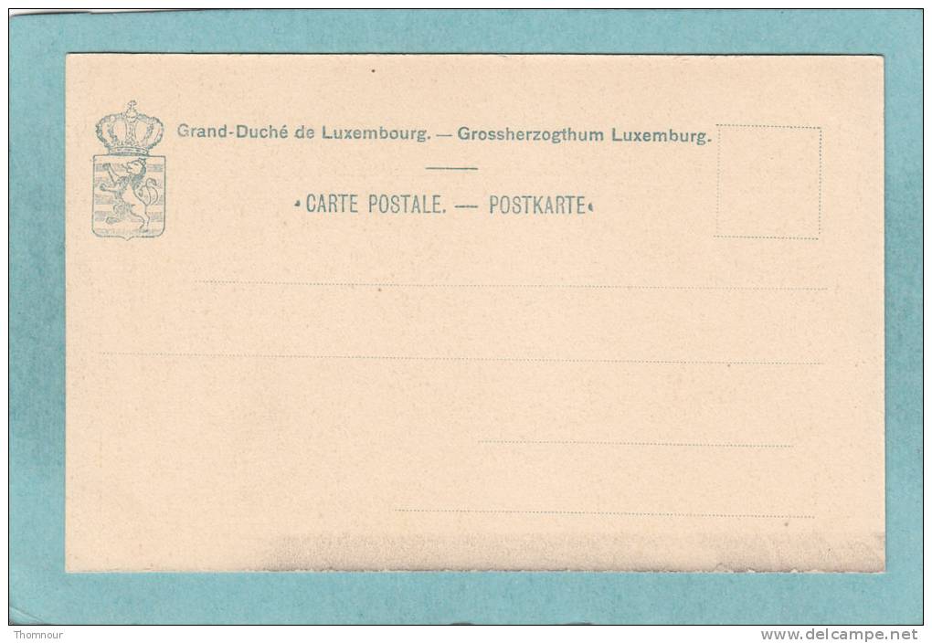 LUXEMBOURG  -  Partie  Du  Neuenweg .  -  BELLE CARTE PRECURSEUR  - - Altri & Non Classificati