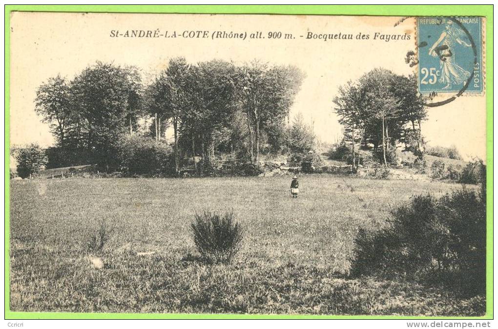 SAINT-ANDRÉ-la-COTE:   (Rhône)  Alt. 900m.   - Bocquetau Des Fayards.    1927    . - Saint-André-la-Côte