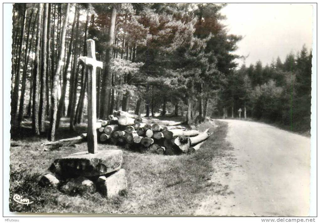 42* LA VERSANNE CPSM (10x15cm) La Croix Des Chasseurs - Autres & Non Classés