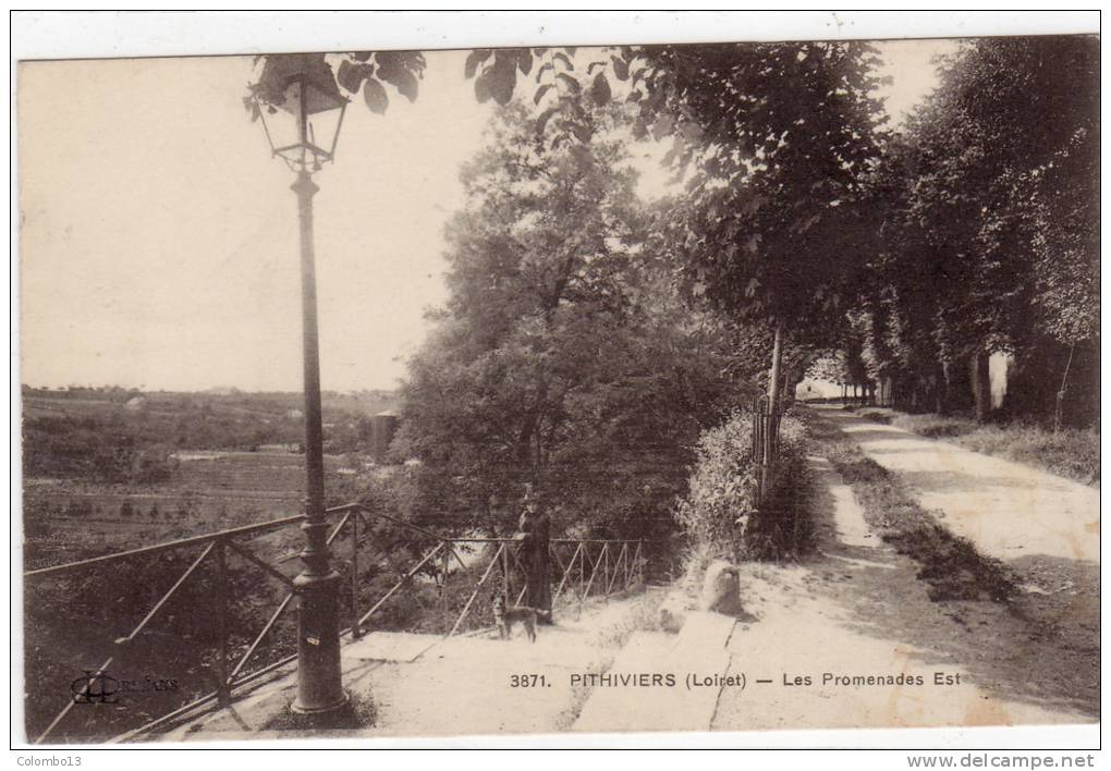 45  PITHIVIERS LES PROMENADES EST - Pithiviers