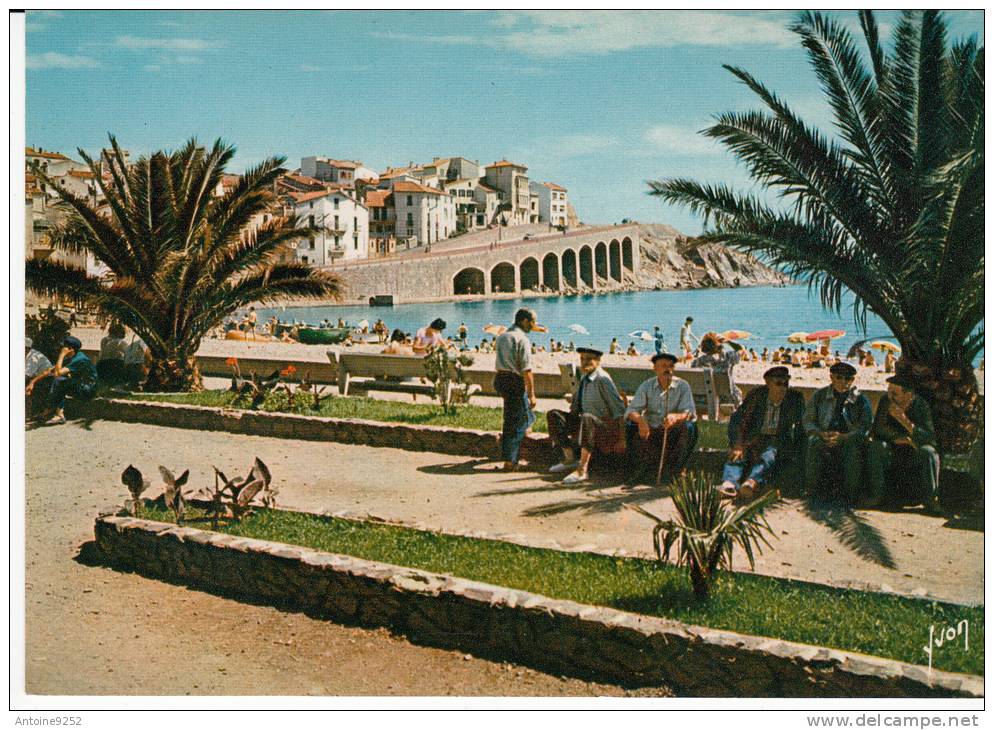 Couleurs Et Lumière De France - Les Pyrénées Banyuls Les Jardins Et La Plage - Banyuls Sur Mer