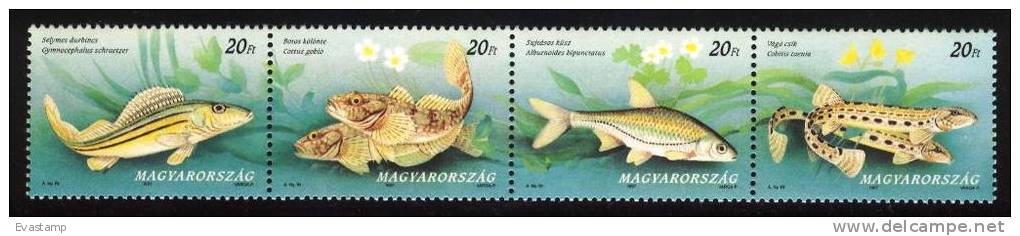 HUNGARY - 1997. Strip - Hungarian Protected Fishes  MNH!!! Mi: 4457-4460. - Ongebruikt