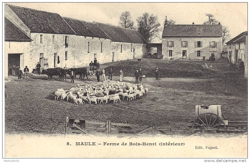 MAULE  Ferme De Bois Henri  (interieur) 8 - Maule