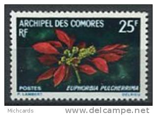 106 COMORES 1970 - Fleur - Neuf Sans Charniere (Yvert 56) - Unused Stamps