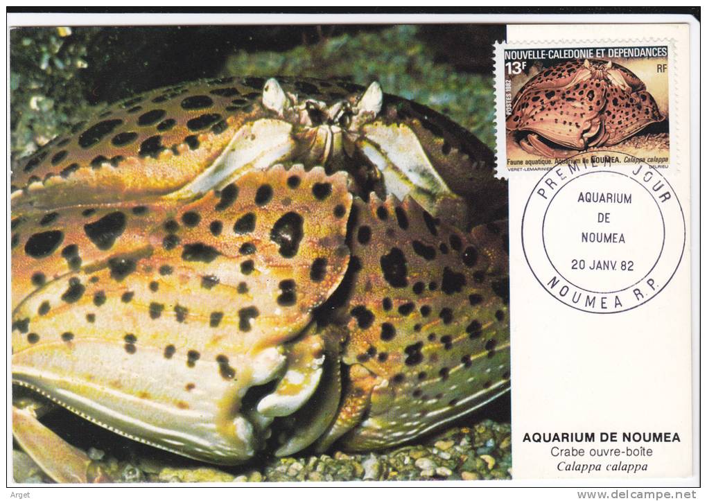 Carte-Maximum NOUVELLE CALEDONIE  N° Yvert 463 (CRABE Ouvre-boîte) Obl Sp 1er Jour - Cartes-maximum