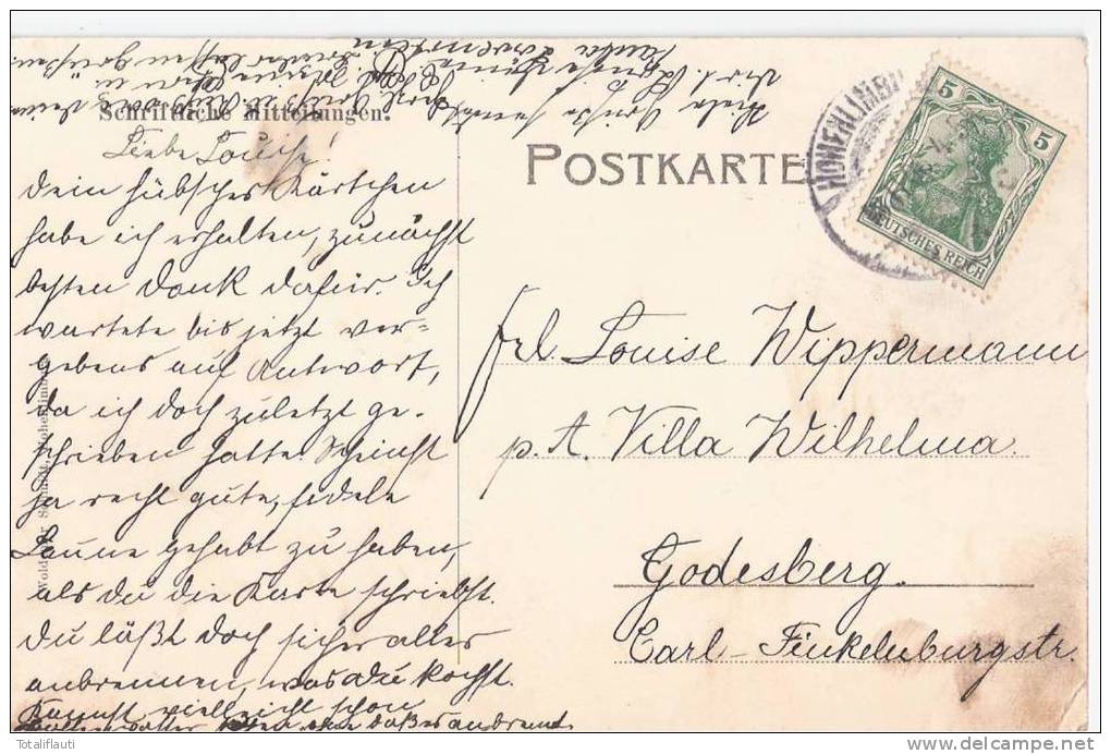 Schloß Hohenlimburg Hagen Jugenstil Passepartout Karte Color Blumen 13.11.1905 - Hagen
