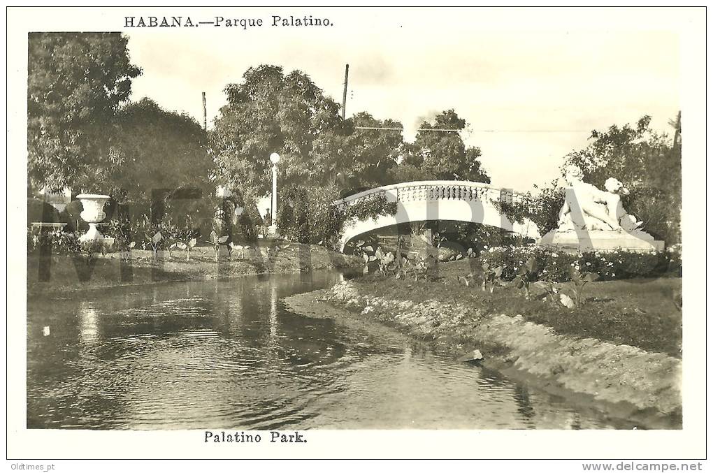 CUBA - HABANA - PALATINO PARK - 50S REAL PHOTO PC. - Autres & Non Classés