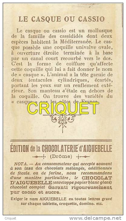Chromo Aiguebelle, Les Coquillages, Casque, Scan Recto Verso - Aiguebelle