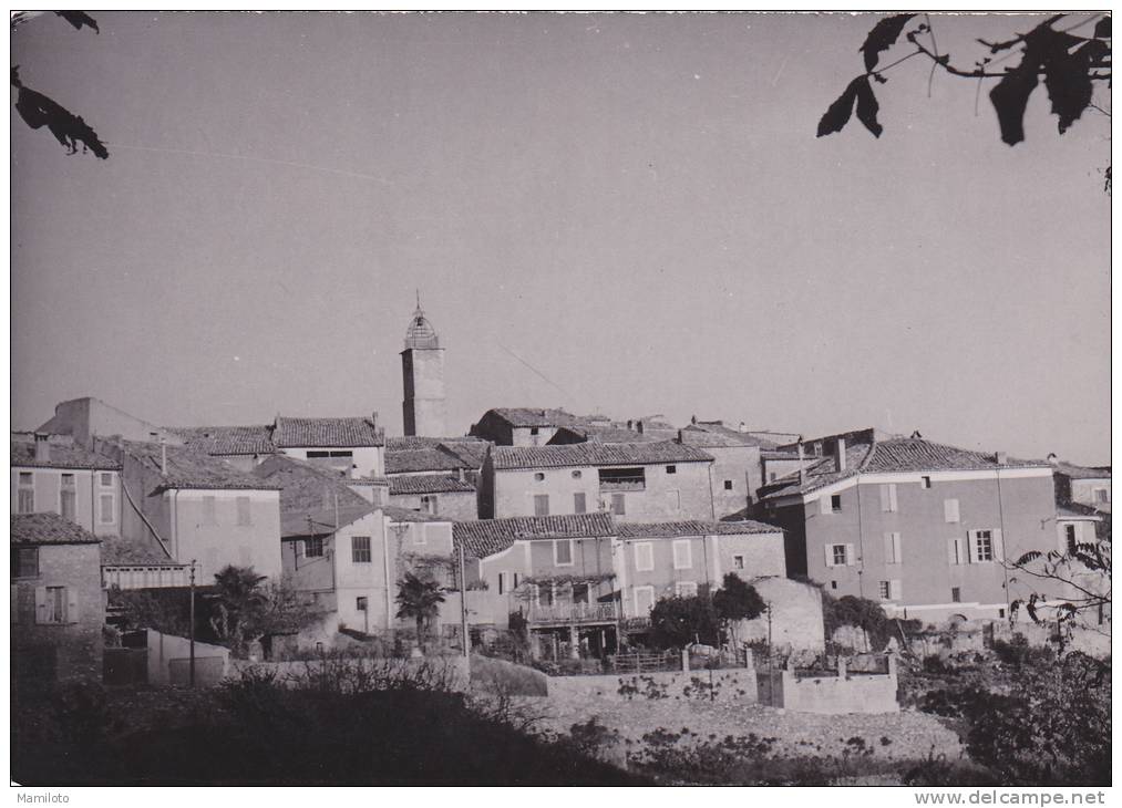 VILLENEUVE ( Carte Photo ) - Villeneuve-lès-Avignon