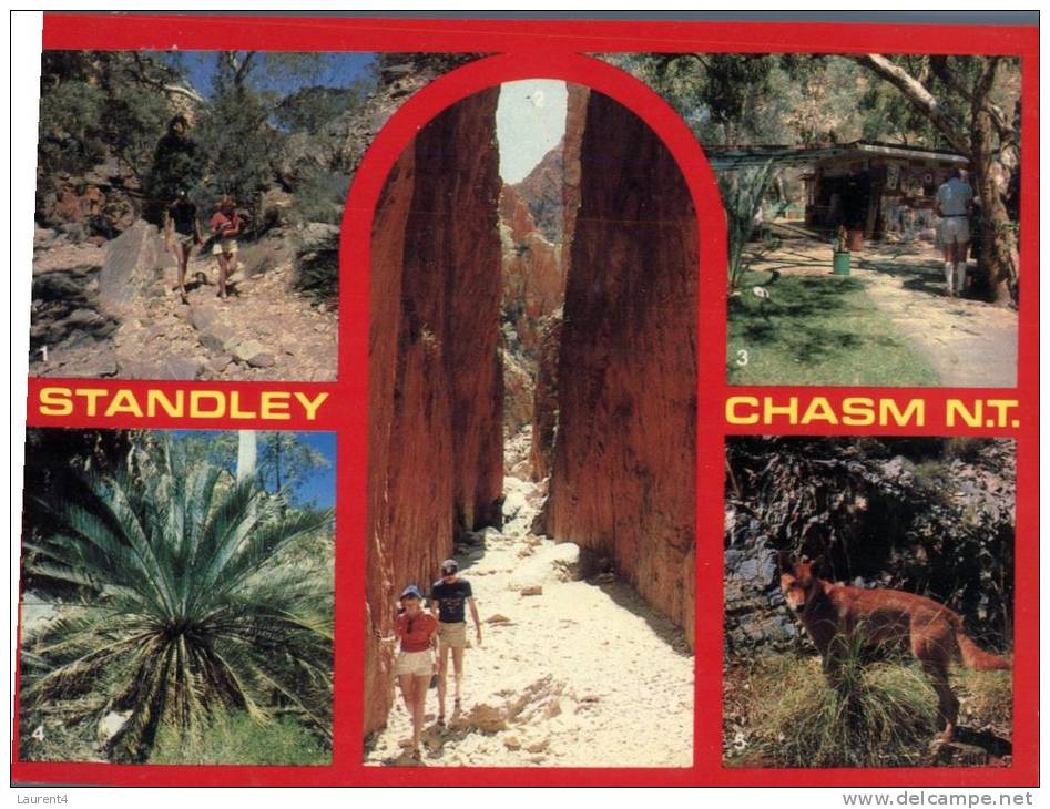 (354) Australia - NT - Standley Chasm + Dingo - Non Classificati
