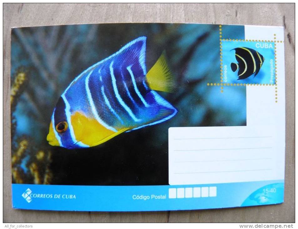 Stationery Card  Fish Poisson Animal Mint - Lettres & Documents