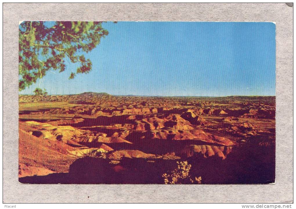 36918   Stati  Uniti,    Arizona -  Painted  Desert,  NV - Phoenix