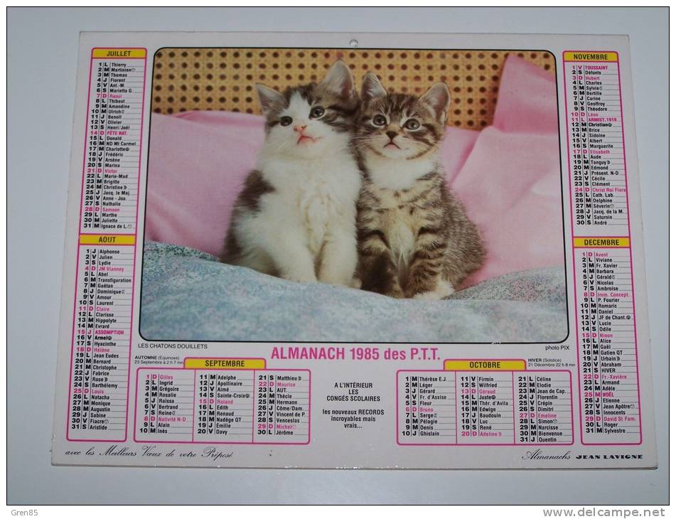 1985 CALENDRIER (double) ALMANACH DES PTT, P.T.T, JEAN LAVIGNE, CHIOTS, CHATONS, ARDENNES 08 - Grossformat : 1981-90