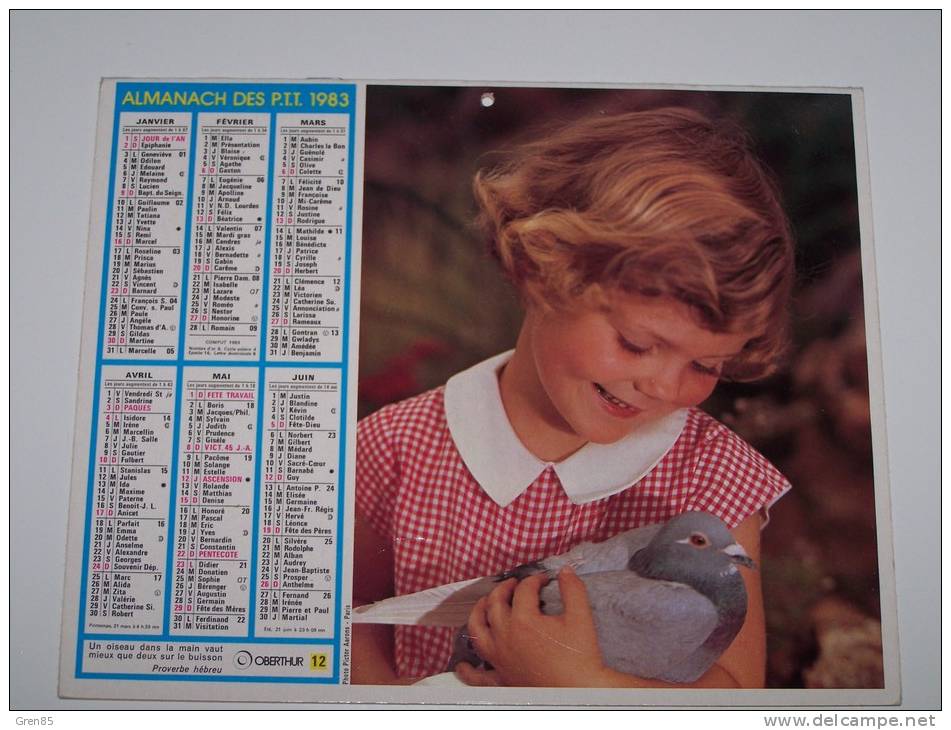 1983 CALENDRIER (double) ALMANACH DES PTT, P.T.T, OBERTHUR, CHIENNE ET SES CHIOTS, ENFANT ET PIGEON, ARDENNES 08 - Grand Format : 1981-90