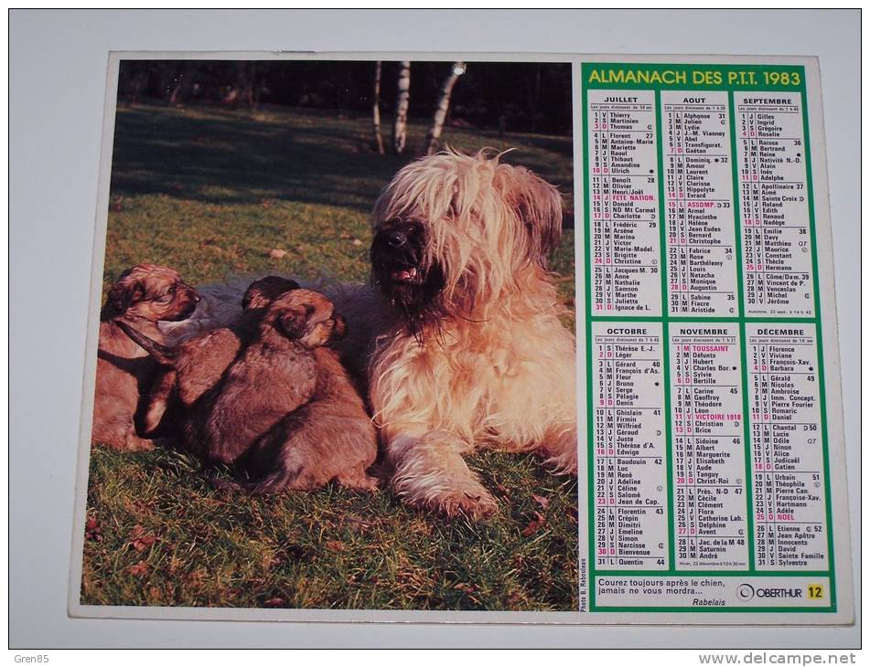 1983 CALENDRIER (double) ALMANACH DES PTT, P.T.T, OBERTHUR, CHIENNE ET SES CHIOTS, ENFANT ET PIGEON, ARDENNES 08 - Grossformat : 1981-90